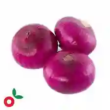Cebolla Roja